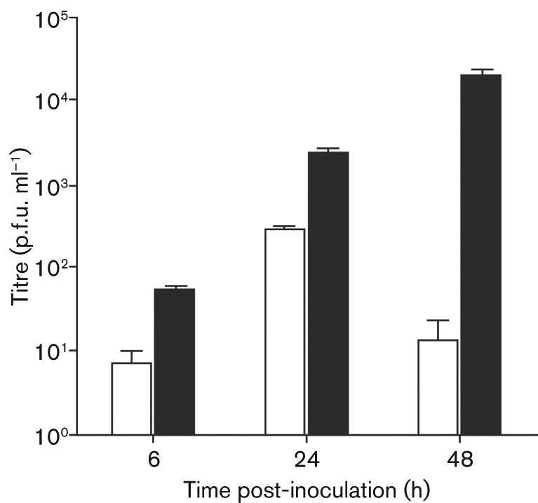 Fig. 2. 