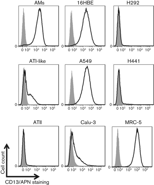 Fig. 3. 