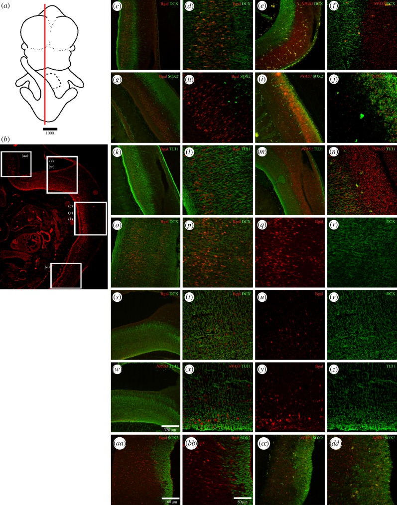 Figure 4.