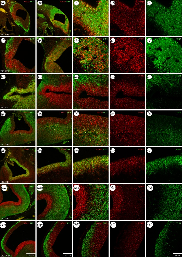 Figure 3.