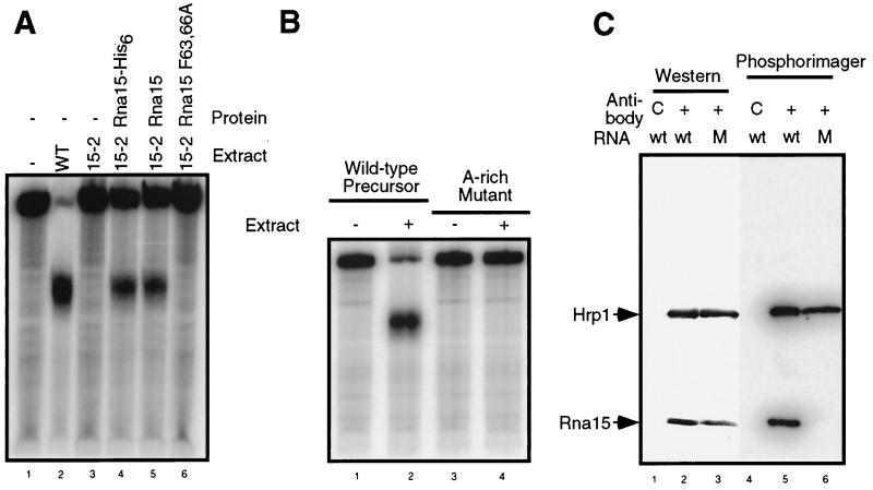 FIG. 6