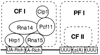 FIG. 7