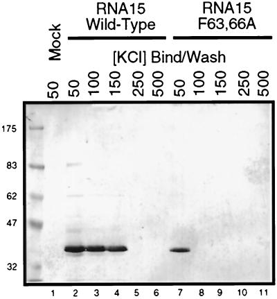 FIG. 5