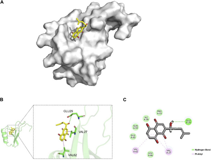 FIGURE 6