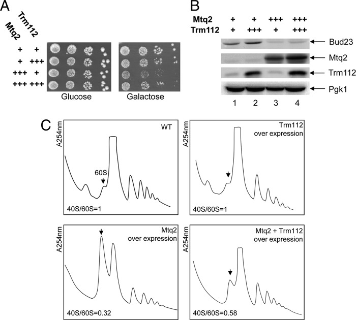 Fig 8