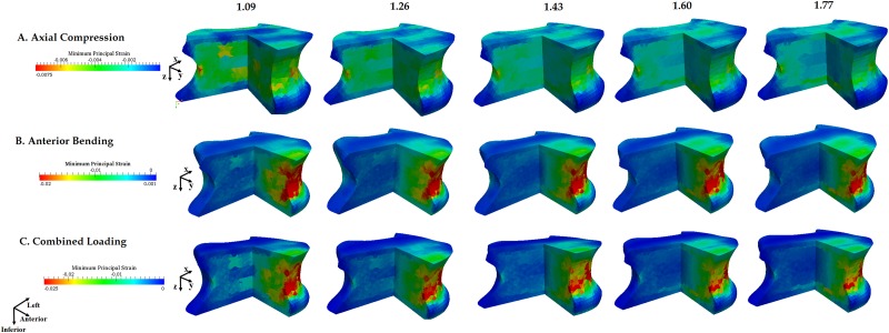 Fig. 13