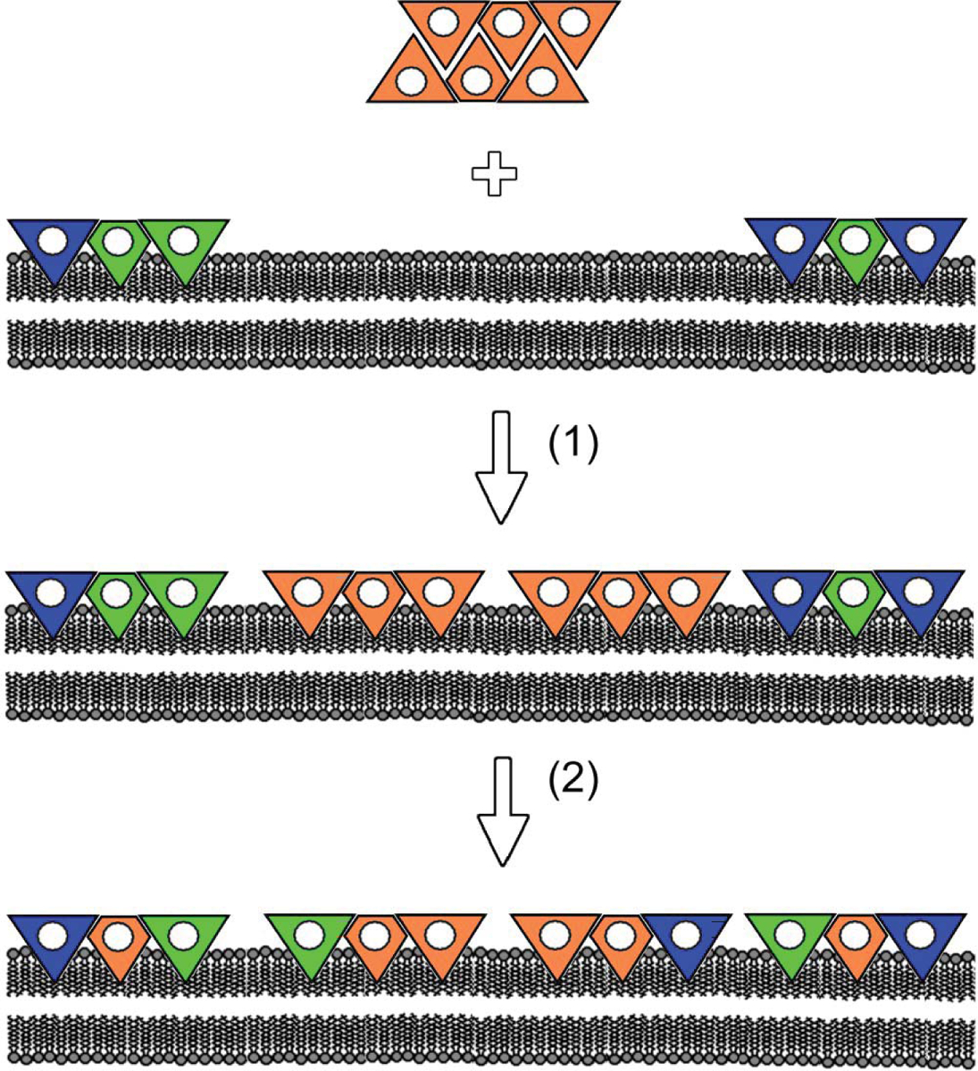 Fig. 11