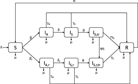 Fig. 12