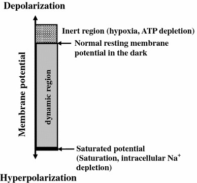 Fig. 4