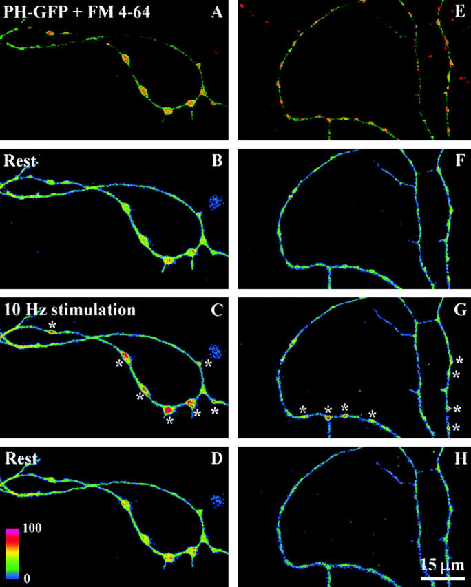 Figure 4.