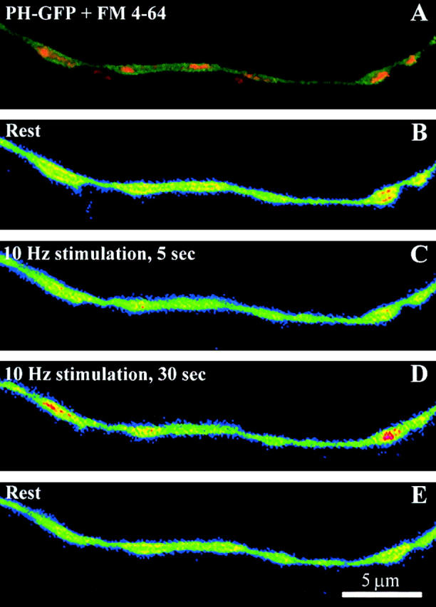 Figure 7.