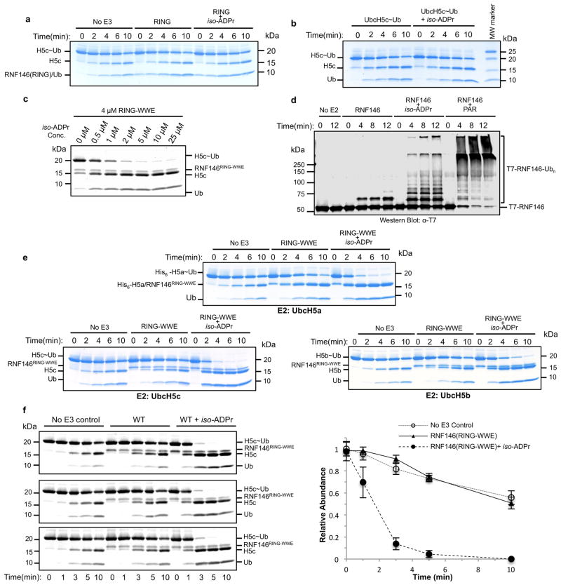 Extended Data Figure 2