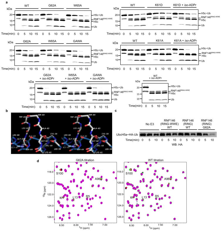 Extended Data Figure 8