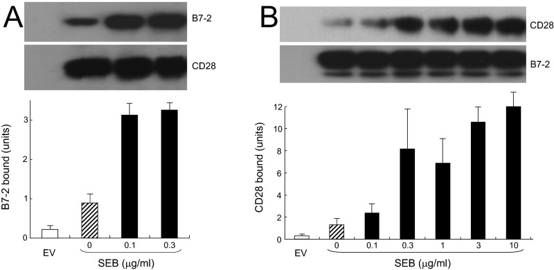 Fig. S5.