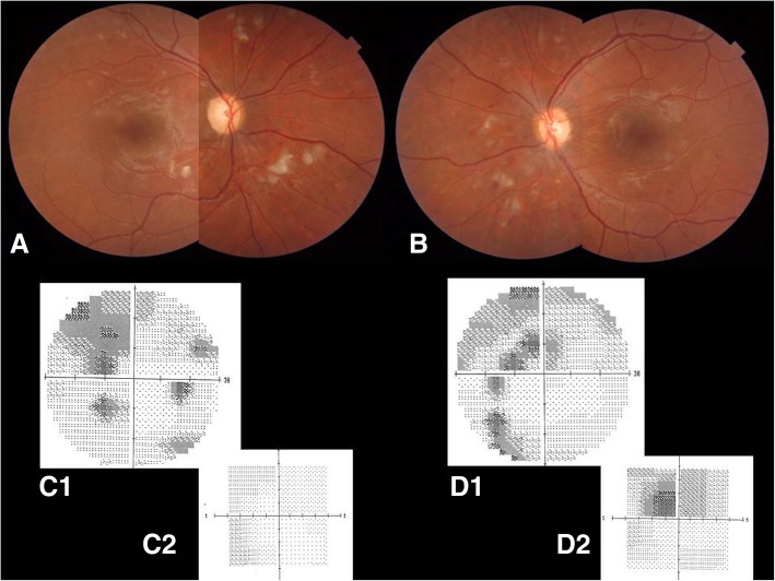 Fig. 3