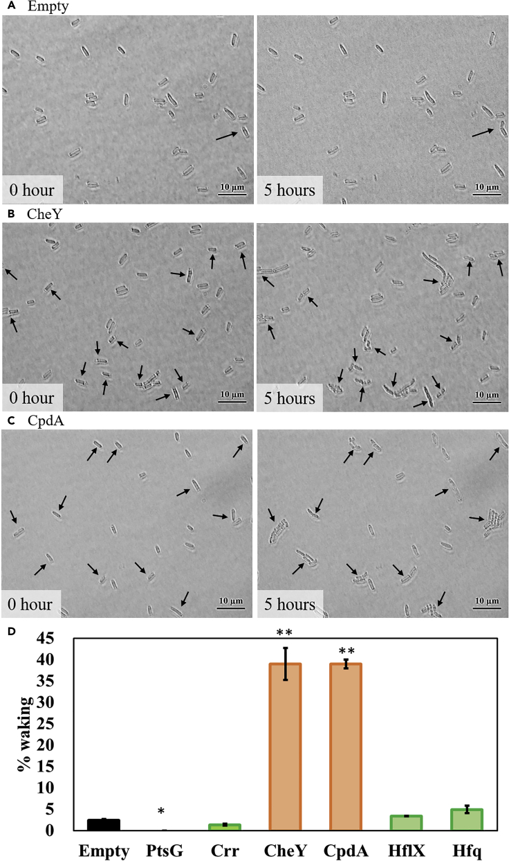 Figure 6