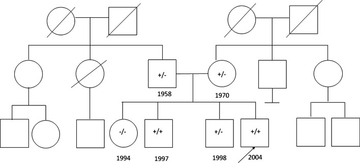 Fig. 2
