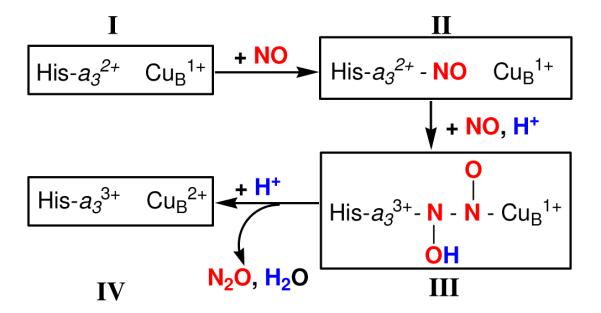 Scheme 4