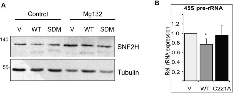 Fig. S4.