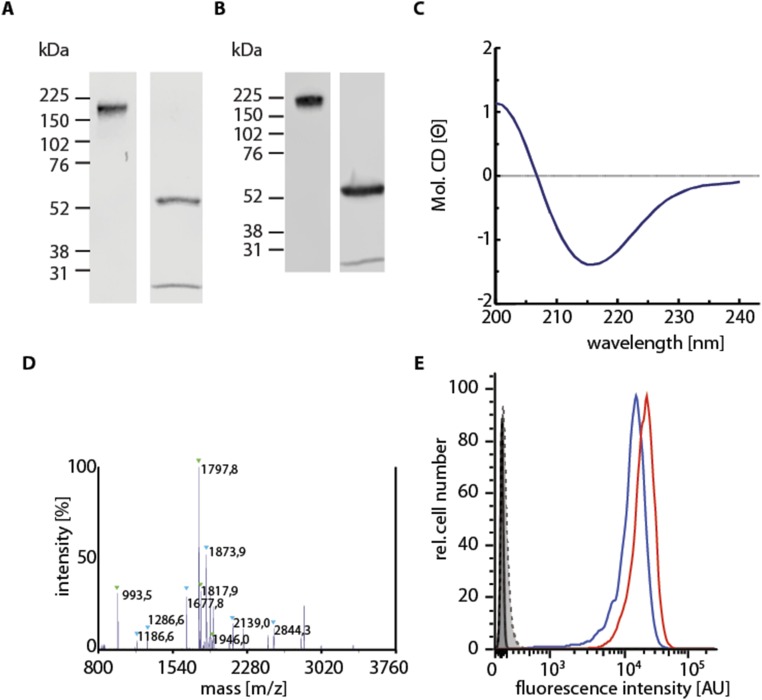 Fig. S3.