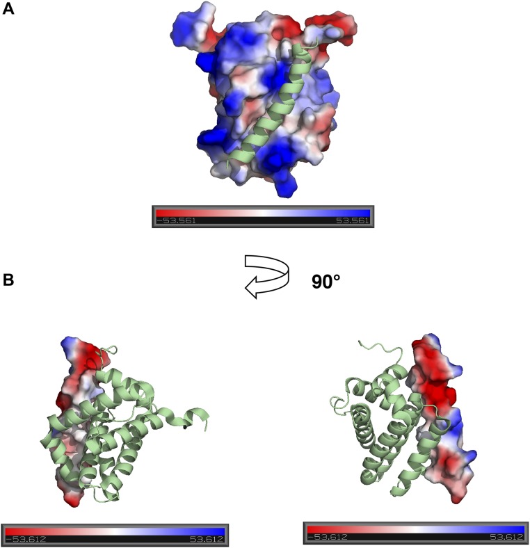 Fig. S3.