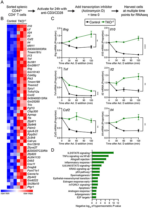 Figure 6: