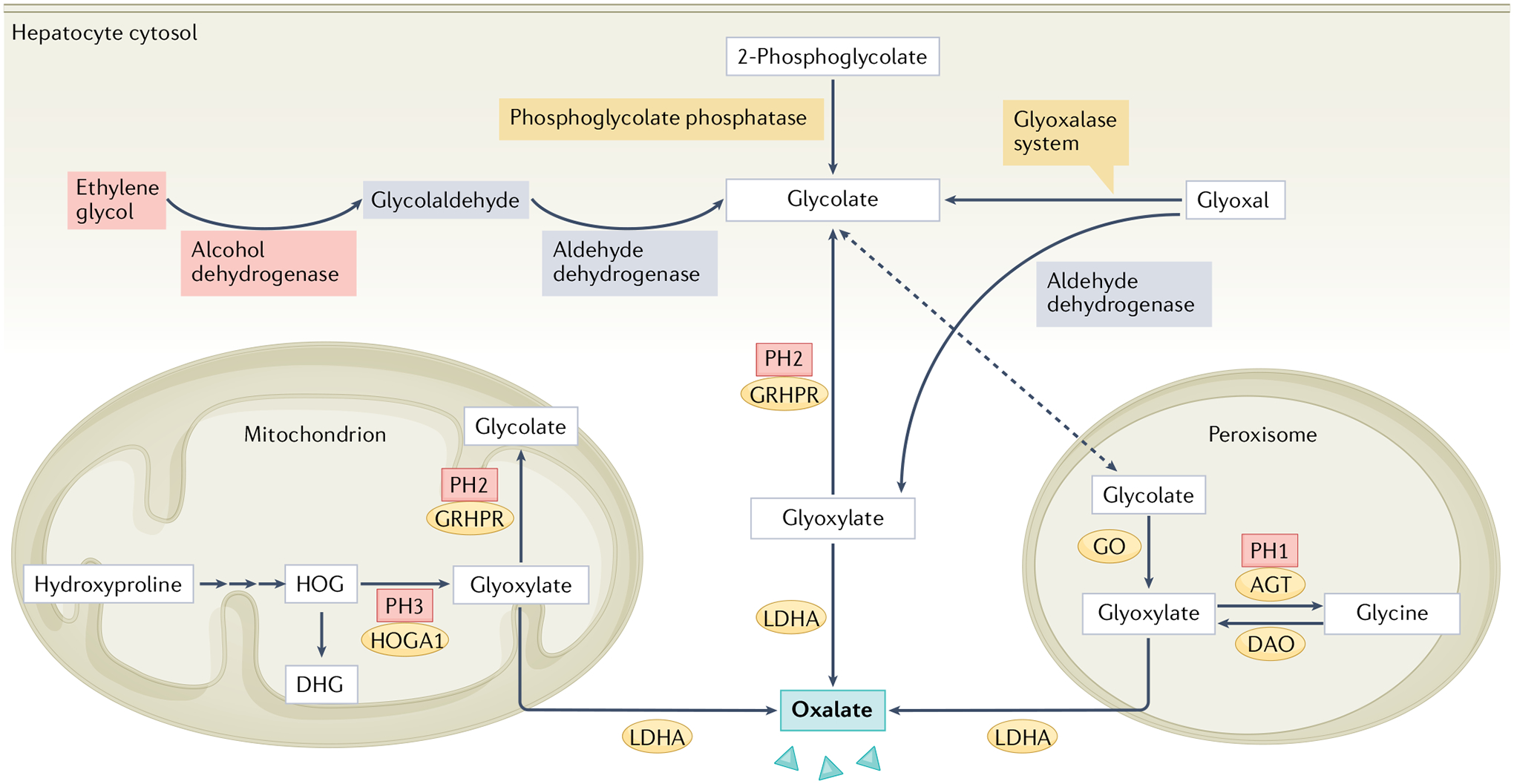 Fig. 2 |