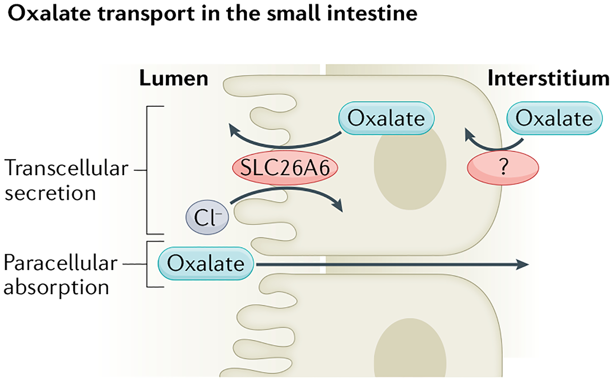 Fig. 3 |