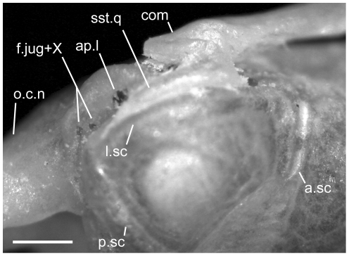 Figure 26