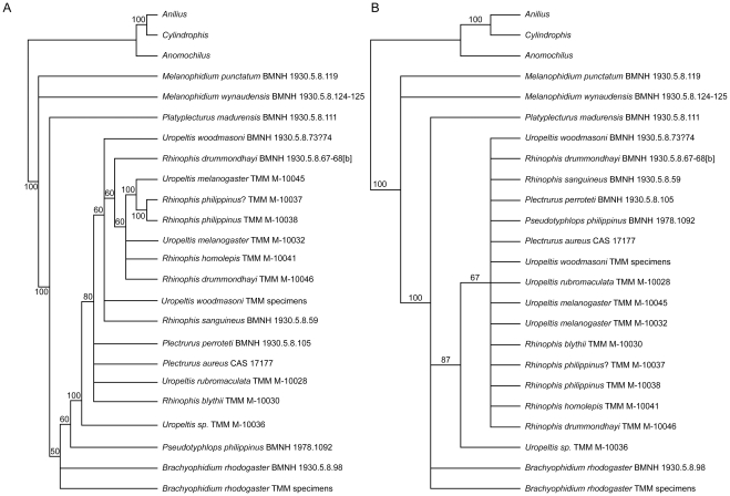 Figure 29