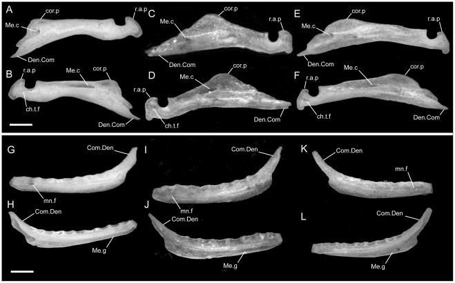 Figure 28