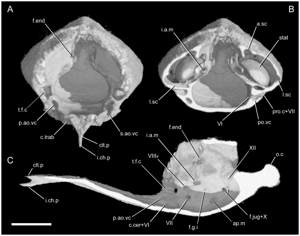 Figure 24