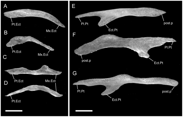 Figure 22