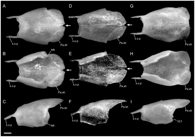 Figure 15