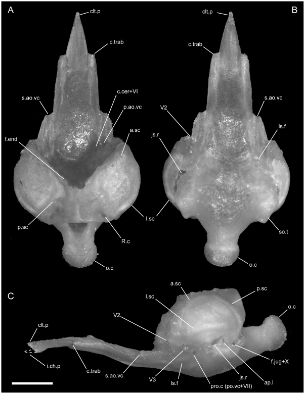 Figure 23