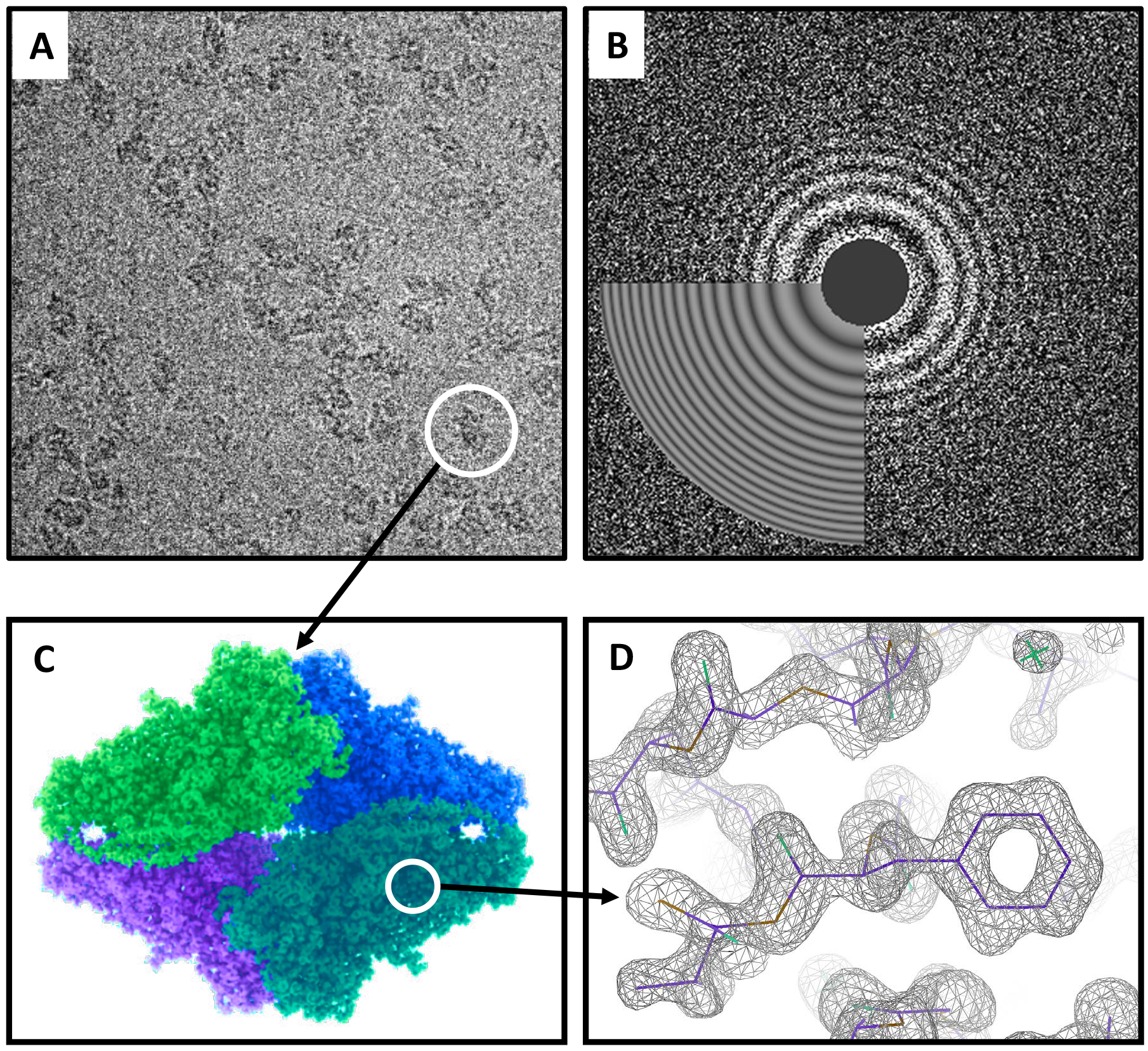 Fig. 2: