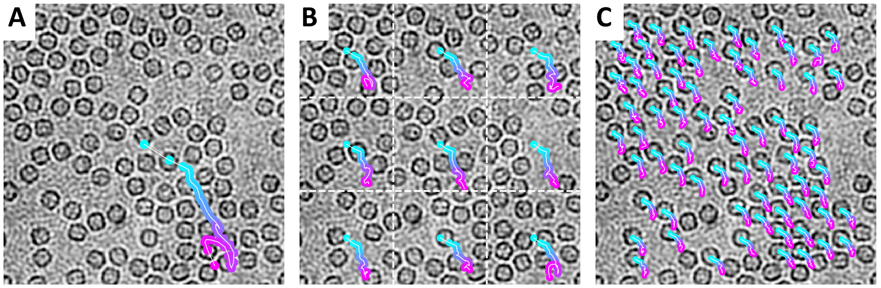 Fig. 6: