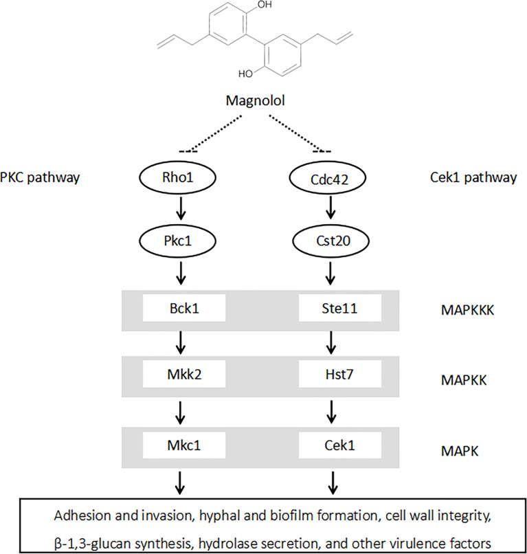 Figure 7