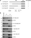 FIG. 3.