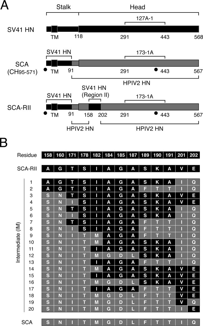 FIG 2