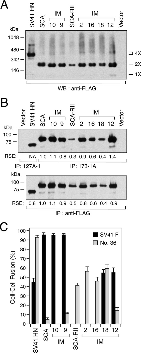 FIG 6