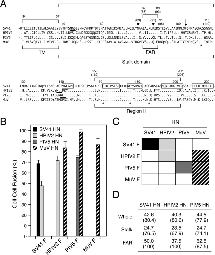 FIG 1