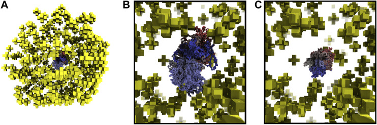 FIGURE 6