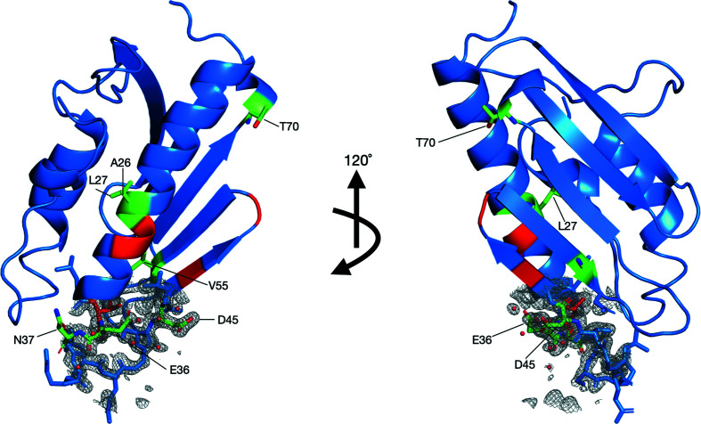 Figure 6