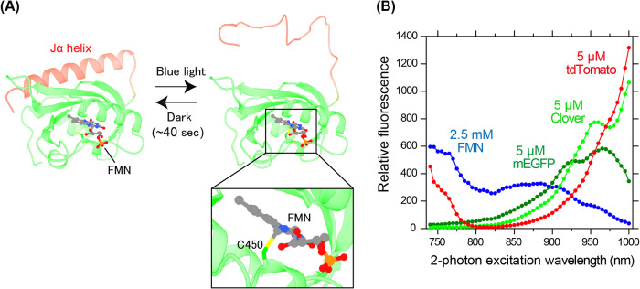 Figure 2 