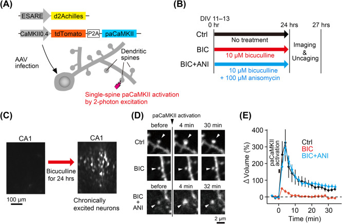 Figure 6 