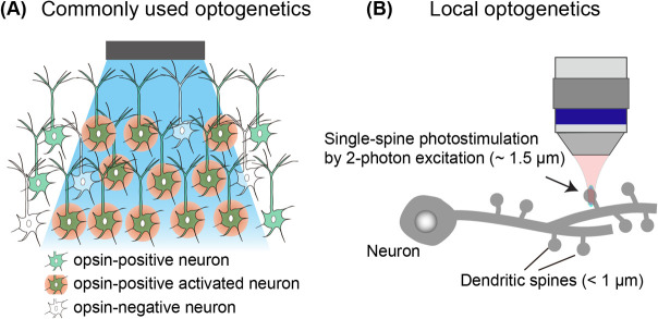 Figure 1 