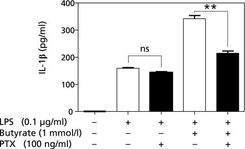 Fig. 6