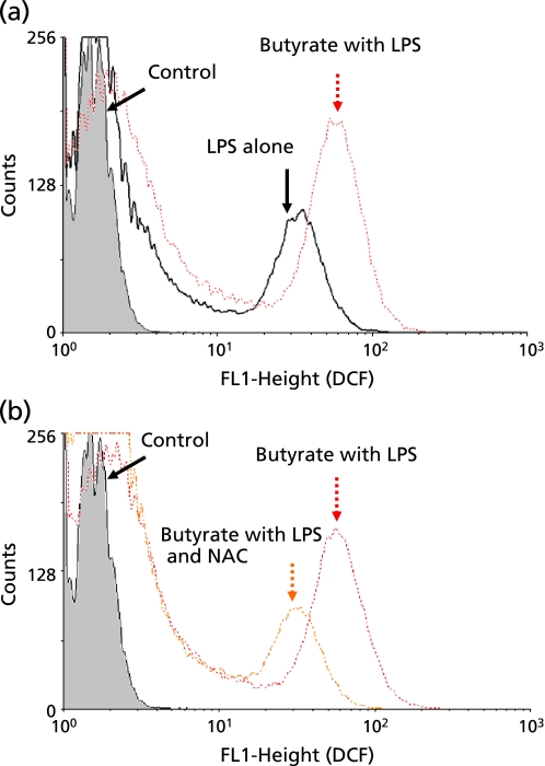 Fig. 7