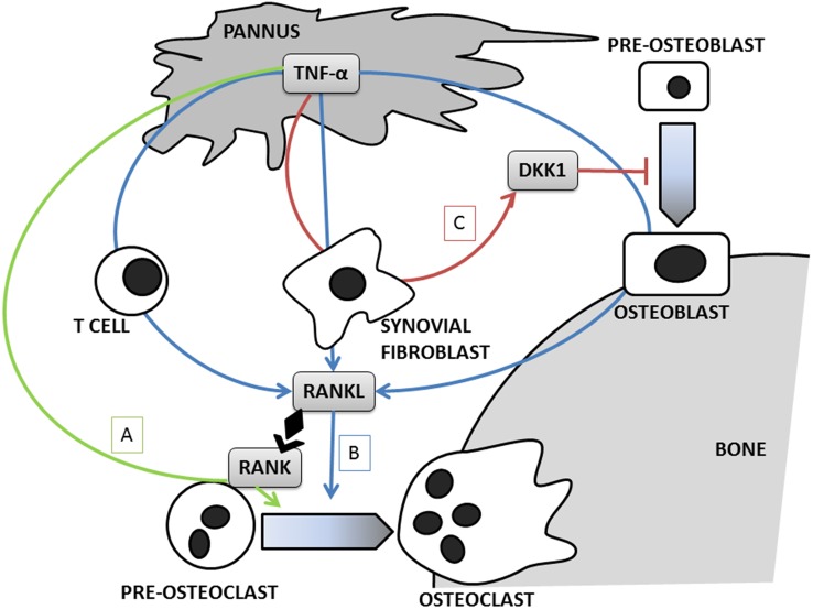 Figure 1